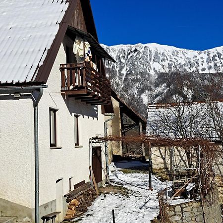 Apartament Hikers Hut Hisar Podbrdo Zewnętrze zdjęcie